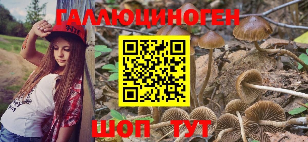 Галлюциногенные грибы мухоморы Кондопога