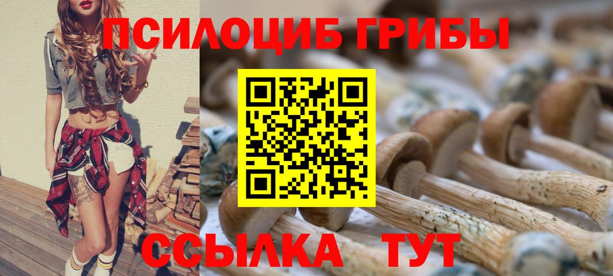 Кондопога  Галлюциногенные грибы Psilocybe  Вход с VPN 